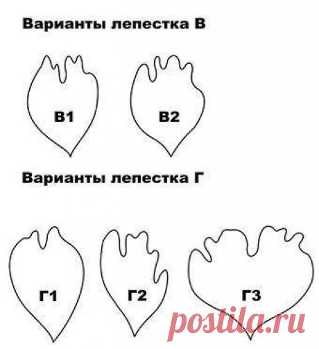 Фотографии Юлии Фоамиран – 36 альбомов