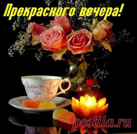 Светлана Болотова