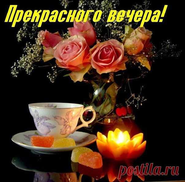 Светлана Болотова