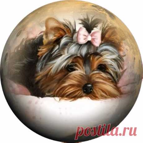 Собачки. Картинки для декупажа.