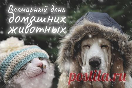 С Всемирным днем домашних животных! . Пусть его здоровье будет крепким, шерстка блестящей, а настроение всегда игривым.  Открытки на День домашних животных!