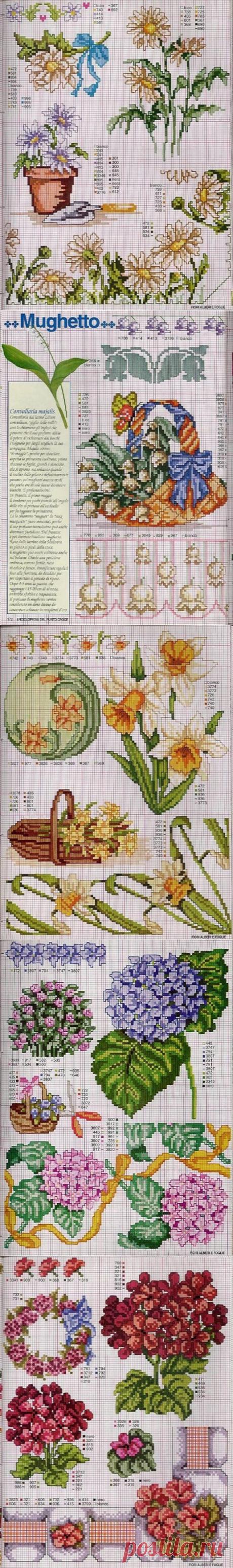 Схемы вышивки крестом. Чудесные цветы.