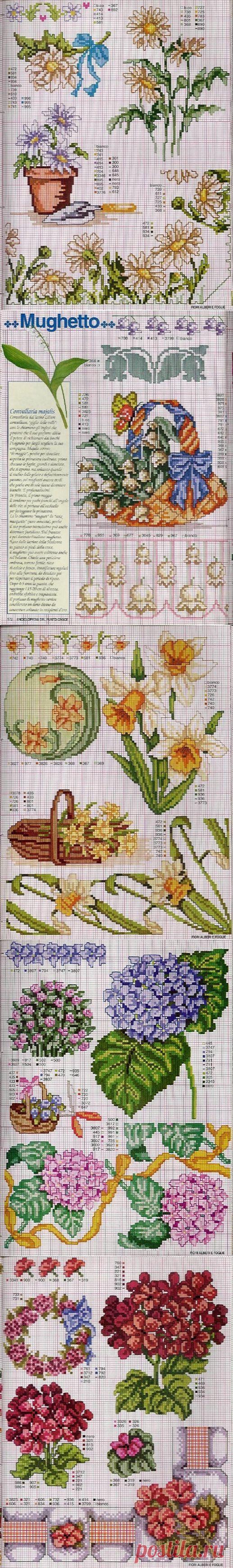 Схемы вышивки крестом. Чудесные цветы.