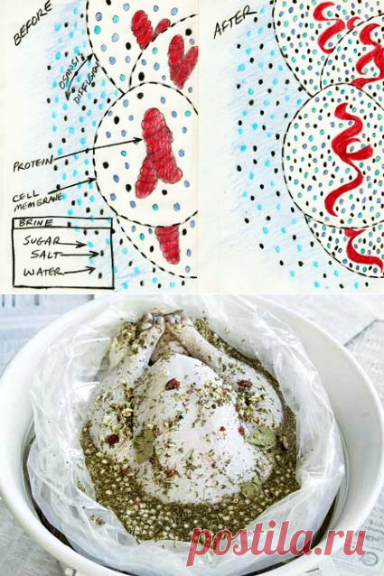 Как рассол помогает сделать мясо более сочным? | Кулинарные заметки Алексея Онегина