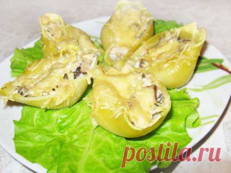 Конкильони с грибами и курицей - рецепт с фото пошагово
