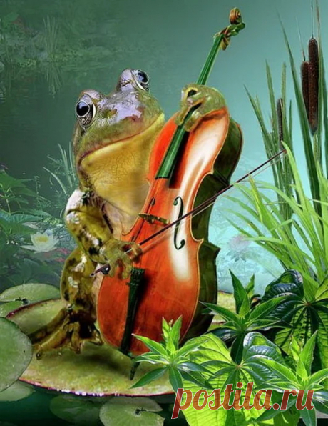 animals house – Google+