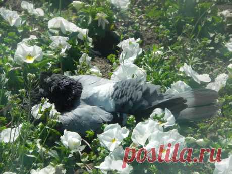 На солнышке