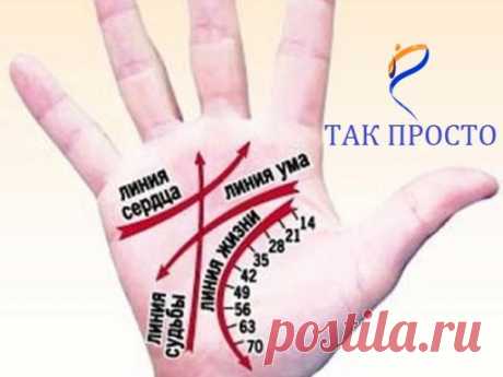 КАК ЧИТАТЬ ЛИНИИ НА РУКАХ