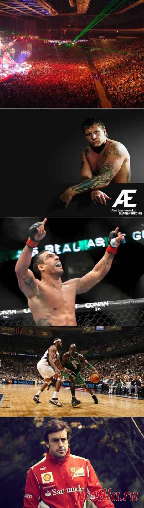 Автомобильный спорт, Планерный спорт, Стрелковый спорт, Киберспорт. (1/1) - Спортивный форум. - Спортивный сайт