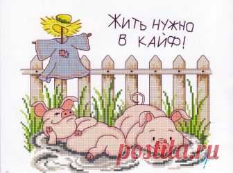 Прикольные поросята символ 2019 года вышитые крестом 2019 год является годом желтой Свиньи и я подобрала для Вас небольшую подборку символов 2019 года - прикольные поросята символ 2019 года вышитые крестом.