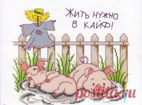 Прикольные поросята символ 2019 года вышитые крестом 2019 год является годом желтой Свиньи и я подобрала для Вас небольшую подборку символов 2019 года - прикольные поросята символ 2019 года вышитые крестом.