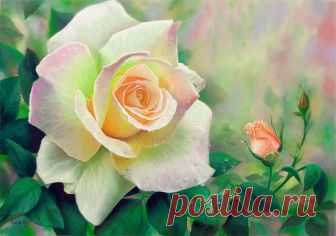 10 ПРОСТЫХ СОВЕТОВ ОПЫТНОГО ЦВЕТОВОДА 10 ПРОСТЫХ СОВЕТОВ ОПЫТНОГО ЦВЕТОВОДА

Если вашим цветочкам не здоровится, не нужно сразу бежать за химией в садовый магазин. Все составляющие этих рецептов вы найдете у себя дома.

1. Избавьтесь от тли с помощью моющего средства.
Тля любит пастись на свежих молодых побегах. Но вряд ли ей понравится пара капель моющего средства и мокрая тряпка. Одно движение - и тли как не бывало. 

2. Долой нелегалов.
Если в земле завелись крохотные н...