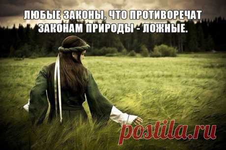 Иван Петров
