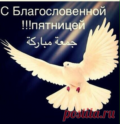 Ислам – Сообщество – Google+