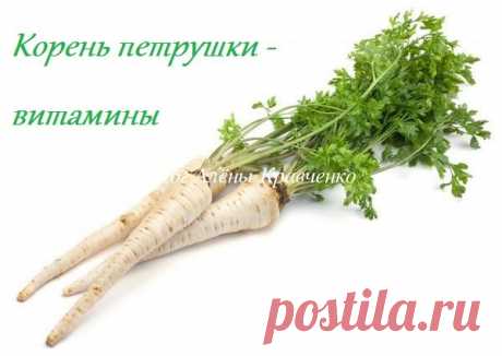 Чем полезен корень петрушки - лечебные и полезные свойства. Противопоказания | Блог Алёны Кравченко
