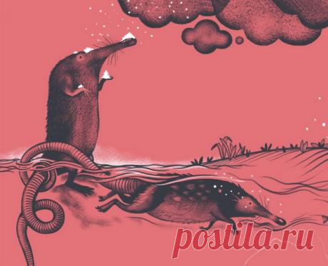 Непредсказуемая выхухоль