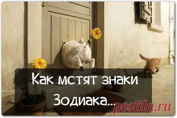 Правда Жизни