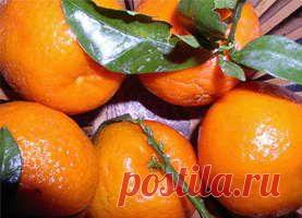 >> Очищение суставов - очищение суставов народными средствами