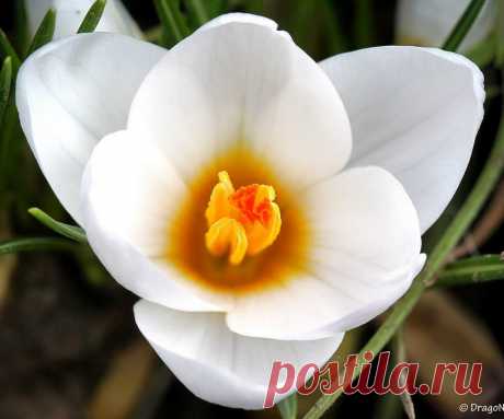 Людмила Дятлова