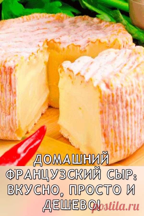 Домашний французский сыр: вкусно, просто и дешево - Стильные советы
