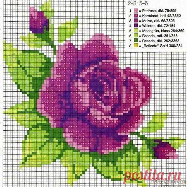 📍📍Hayırlı cumalar dilerim
🌹Şablonlar pinterestten
.
.
👉İletişim için DM 👈
#şablon #etamin #etaminşablonları #etaminşablon #kanavice #kanaviceşablon #rose #flower #pinterest #çeyiz #çeyizliklif #çeyizlik #gül#işlemeşablonu #işleme