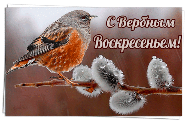Желаю радости, тепла, Жизнь чтобы щедрою была. Пусть в дом придет любовь, везенье, И счастье. С Вербным Воскресеньем! — Бесплатные поздравления