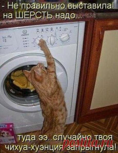 Самые интересные посты у нас