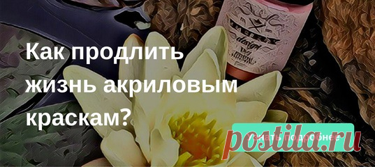 Новости
