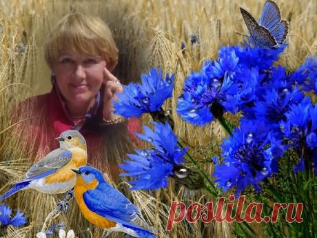 11350394_1604252776501482_499954452_n.jpg (800×600)