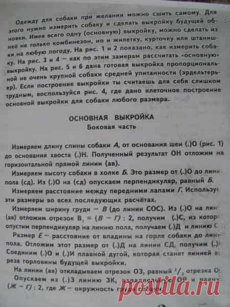 Самостоятельное построение выкроек для собак. Конструирование