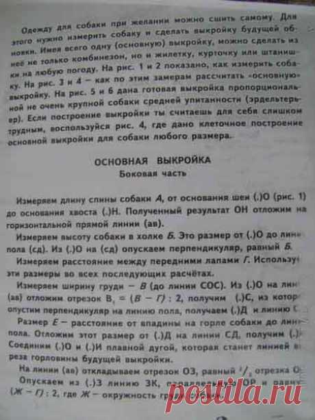 Самостоятельное построение выкроек для собак. Конструирование
