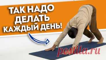СУРЬЯ НАМАСКАР для начинающих. Практика приветствие Солнцу: как зарядить тело энергией и силой? | Станислав Черноног. Школа здоровья | Дзен