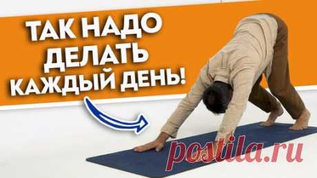 СУРЬЯ НАМАСКАР для начинающих. Практика приветствие Солнцу: как зарядить тело энергией и силой? | Станислав Черноног. Школа здоровья | Дзен