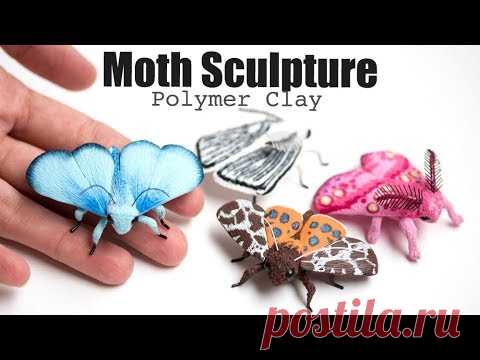 Моли и бабочки из полимерной глины, скоростное ваяние // Класс скульптуры / Учебное пособие - Polymer Clay Moths & Butterflies, Speed Sculpting // Sculpture Class / Tutorial Preview - YouTube