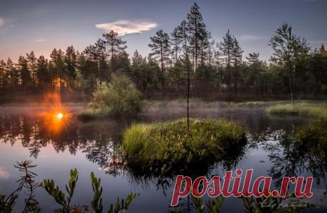 Августу посвящается...