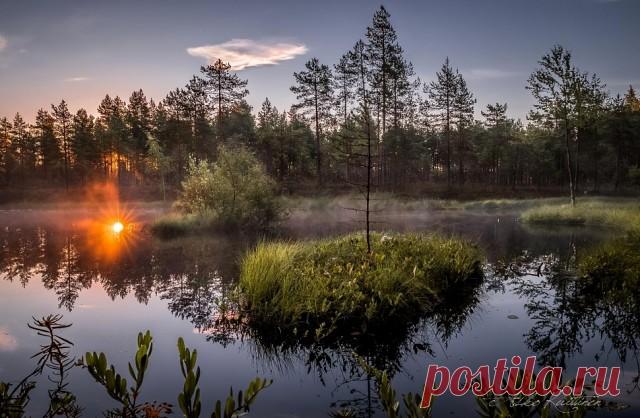 Августу посвящается...