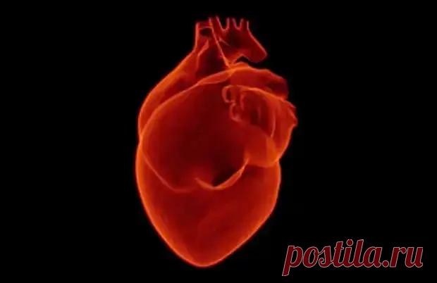 13 звоночков, что ваше сердце перестало работать правильно - ПолонСил.ру - социальная сеть здоровья - Медиаплатформа МирТесен