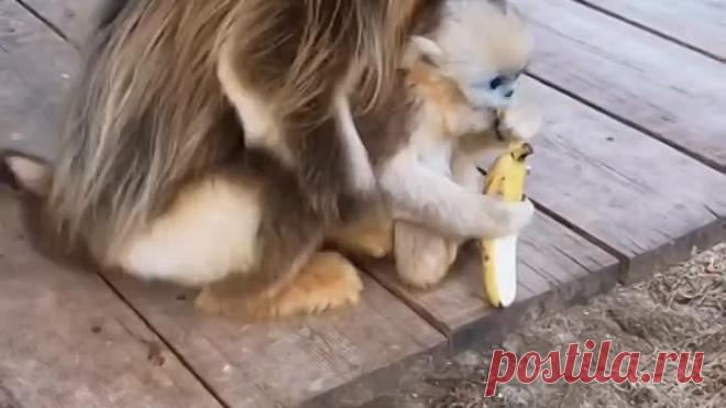 upload_251765813_file