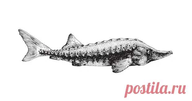 (30) Если ваши усилия обесценивают — не надо тратиться на осетрину. И метать бисер. Можно просто чаю предложить… - ♀♂ Гостиная для друзей - 1 января - 43495827779 - Медиаплатформа МирТесен