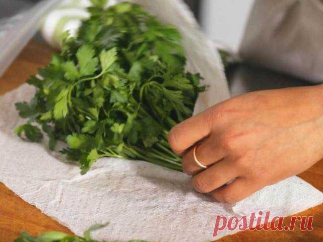 Как еще можно использовать бумажные полотенца для кухни — I Love Hobby — Лучшие мастер-классы со всего мира!