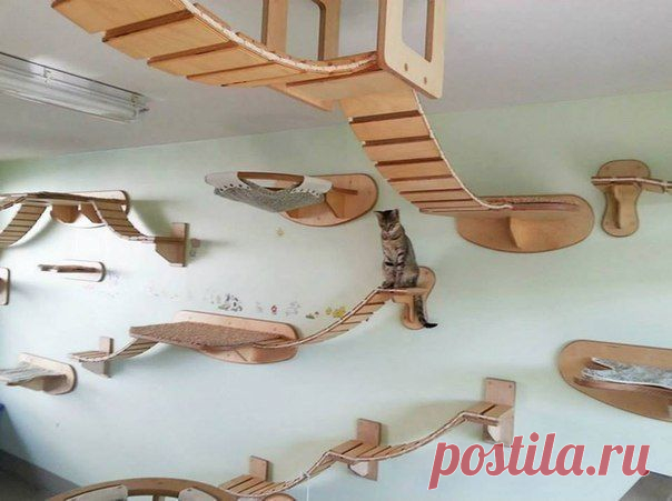 Фотографии на стене сообщества | 32 768 фотографий | ВКонтакте