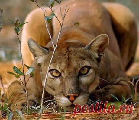 Интересные новости