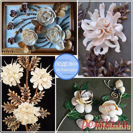 Поделки из ракушек » Дизайн & Декор своими руками