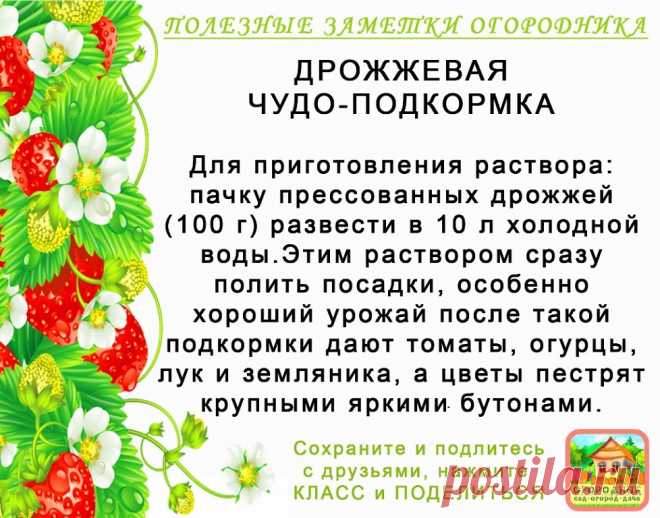 КОПИЛОЧКА  ОГОРОДНИКА!
Сохраните и поделитесь с друзьями!
#✒ЗаметкиОгородника✒