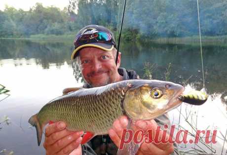 Разновидность голавлевой проводки