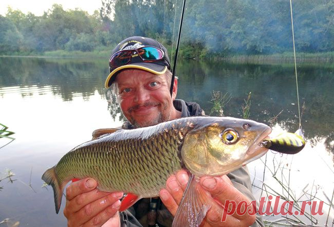 Разновидность голавлевой проводки