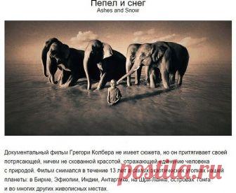 Интересные новости