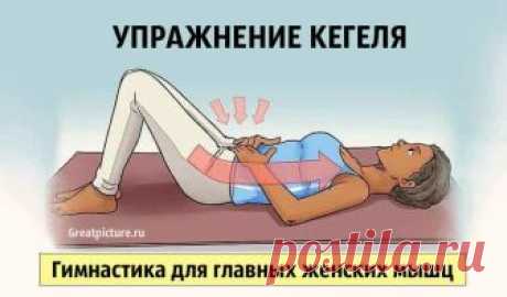 Упражнение Кегля. Гимнастика для главных женских мышц Упражнение Кегля. Гимнастика для главных женских мышц.Главными женскими мышцами, определены мышцы - малого таза. Они отвечают за состояние