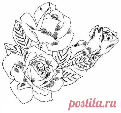 рисунки цветов - 2 млн картинок. Поиск Mail.Ru