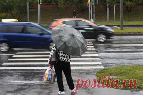 Россиян предупредили о сильных дождях. Научный руководитель Гидрометцентра России Роман Вильфанд предупредил жителей ряда регионов о сильных дождях. По его словам, в ближайшие дни сильный дождь ожидается в Курской, Брянской, Орловской, Белгородской, Московской, Псковской, Новгородской, Тверской, Ярославской, Тульской, Липецкой, Калужской областях.